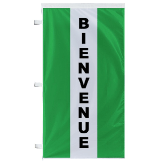 Bannière Bienvenue Verte à bandes latérales