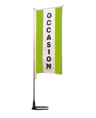Kit mat et drapeau OCCASION vert à bandes latérales 5.5 m